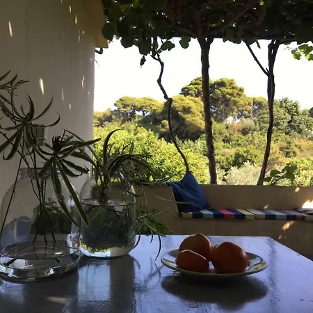 Apartment Kalamota Daire *
